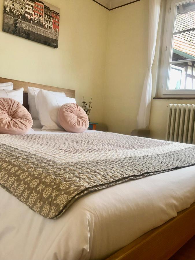 Appartement T3 Aux Deux Cigognes Gries Экстерьер фото